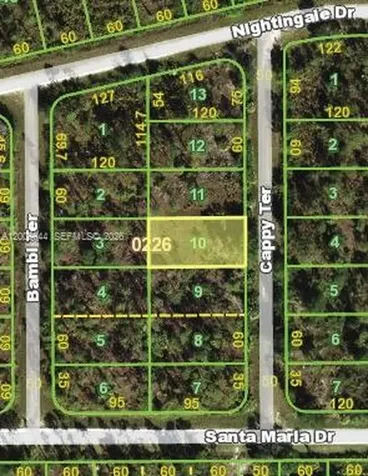 13347 Cappy Terrace Punta Gorda FL 33955