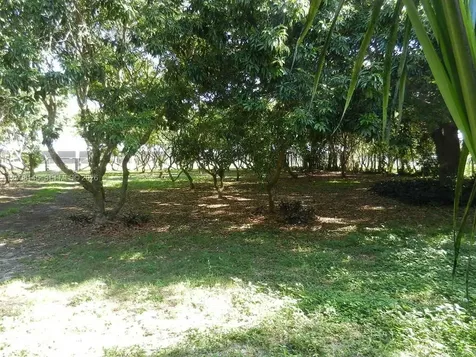 18950 SW 240th Street Homestead FL 33031