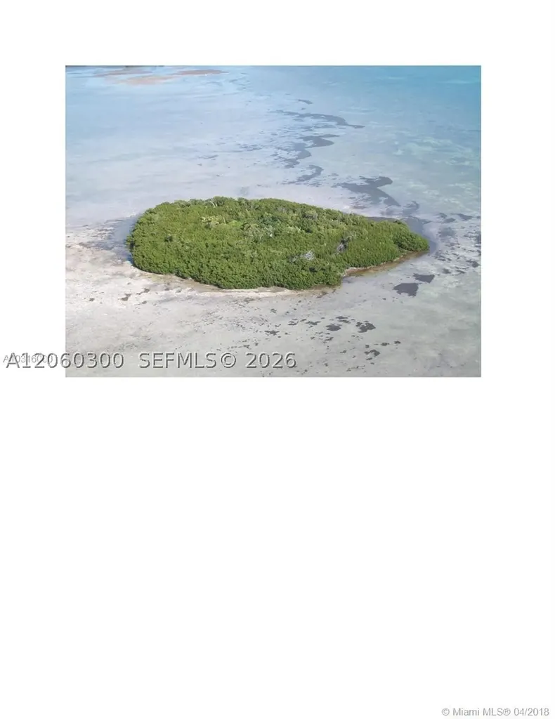 99 Don Quixote Key Big Pine Key Big Pine FL 33043