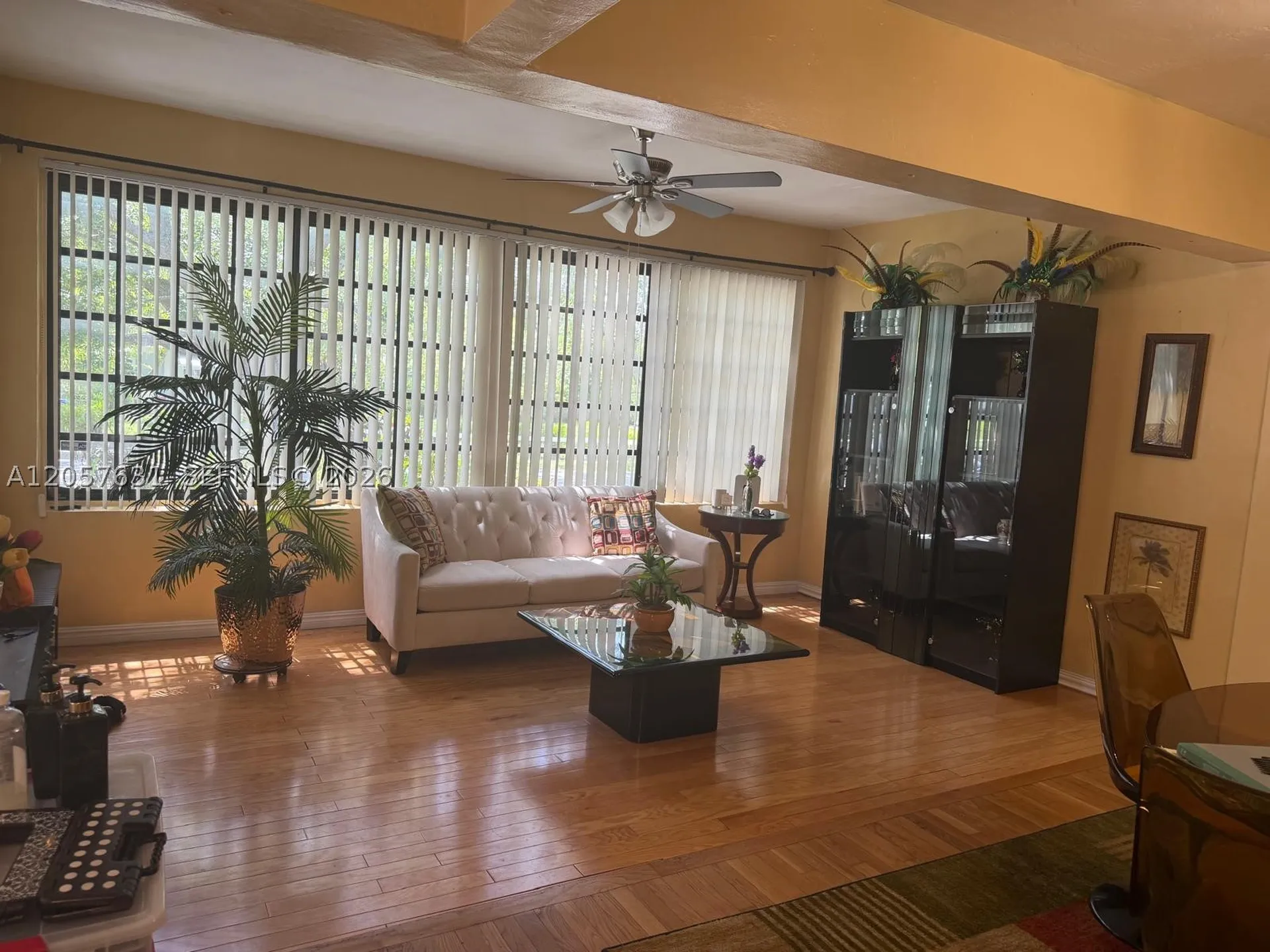 709 N 26th Avenue Hollywood FL 33020