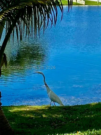 10231 Buttercup Court Pembroke Pines FL 33026