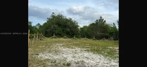 Lake Placid FL 33852