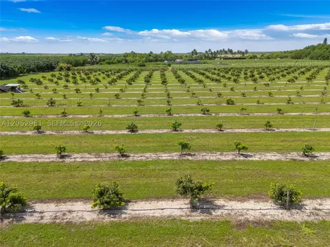 316XX SW 228th Avenue Homestead FL 33030