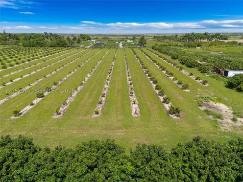 316XX SW 228th Avenue Homestead FL 33030