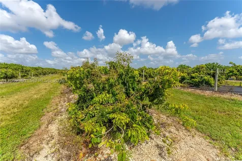 316XX SW 228th Avenue Homestead FL 33030
