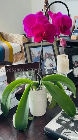 50 Biscayne Boulevard Miami FL 33132