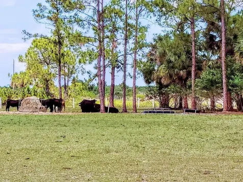 1001 Homestead Avenue Clewiston FL 33440