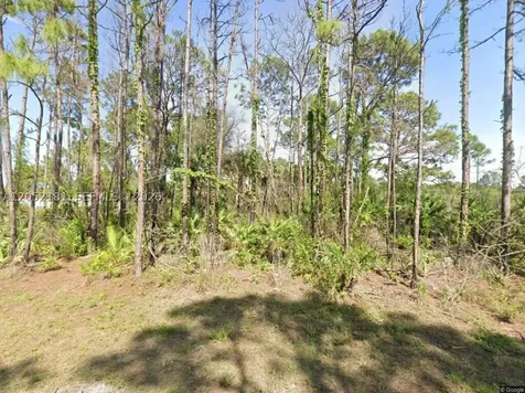 2814 Ida Avenue N Lehigh Acres FL 33971