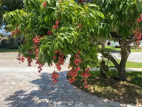 1251 SW 11th Terrace Boca Raton FL 33486
