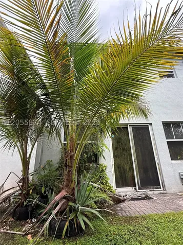 Tamarac FL 33319