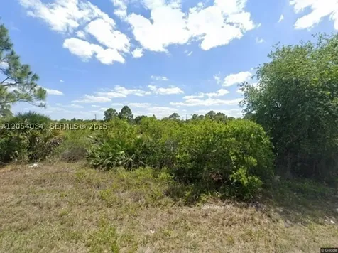 2905 W 55 Street Lehigh Acres FL 33971