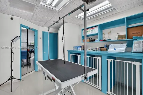 Dog Grooming Shop For Sale In Miami Miami FL 33173