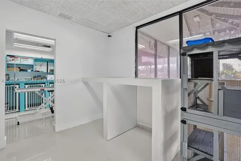 Dog Grooming Shop For Sale In Miami Miami FL 33173