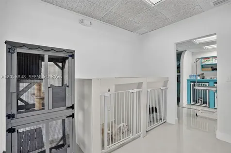 Dog Grooming Shop For Sale In Miami Miami FL 33173