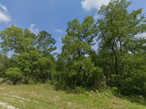 0 SW 73rd Ct Road Ocala FL 34473
