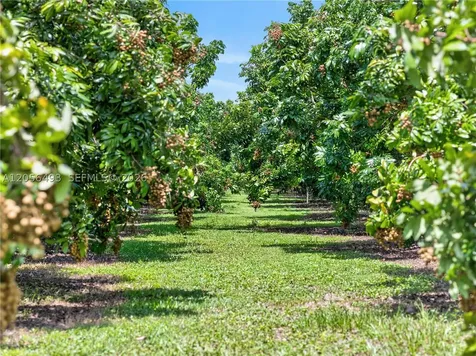 33800 SW 212th Avenue Homestead FL 33034