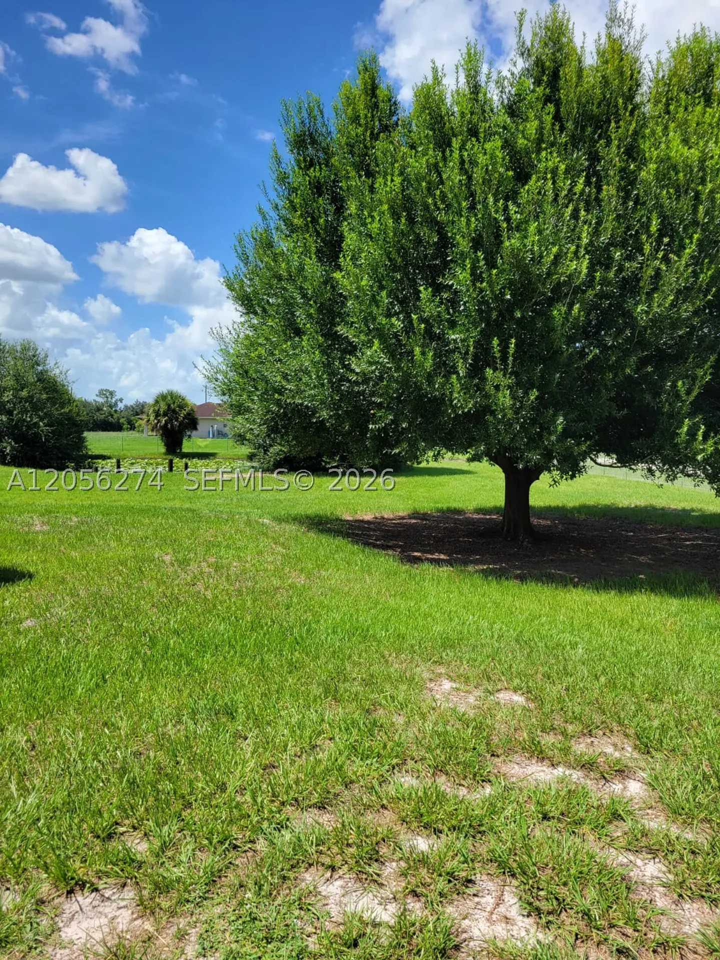 369 Horse Club Avenue Other City - In The State Of Florida FL 33440