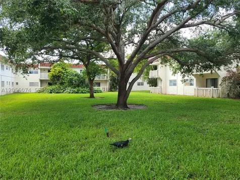 4165 SW 67th Avenue Davie FL 33314