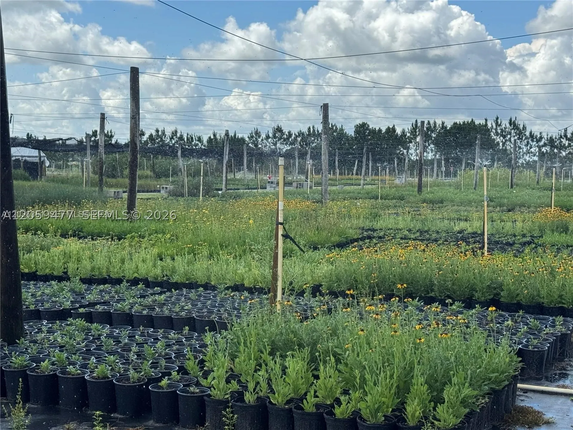 476 N Barlow Road Other City - In The State Of Florida FL 33873