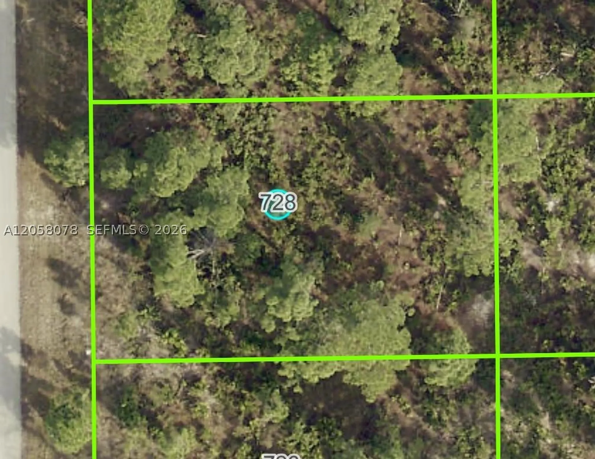728 Pinecastle Drive Other City - In The State Of Florida FL 33974