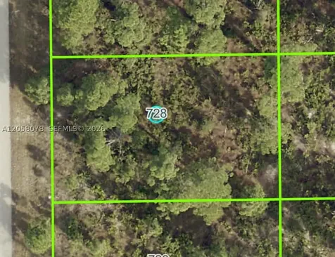 728 Pinecastle Drive Other City - In The State Of Florida FL 33974