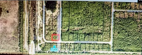 Merganser St SW & Slimtwig Avenue Palm Bay FL 32908