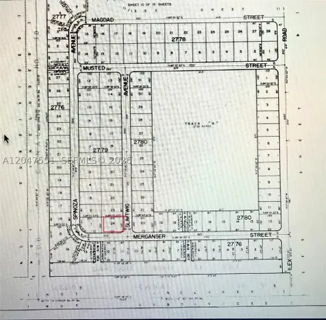 Merganser St SW & Slimtwig Avenue Palm Bay FL 32908