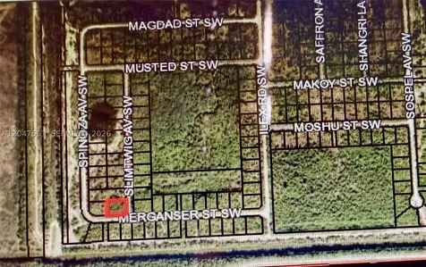 Merganser St SW & Slimtwig Avenue Palm Bay FL 32908