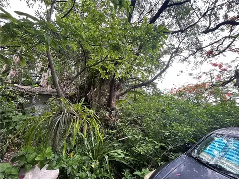 8285 SW 47th Street Miami FL 33155