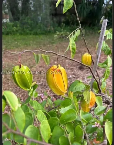 227 SW 22nd Avenue Fort Lauderdale FL 33312