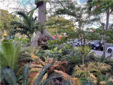 852 SW 13th Avenue Miami FL 33135