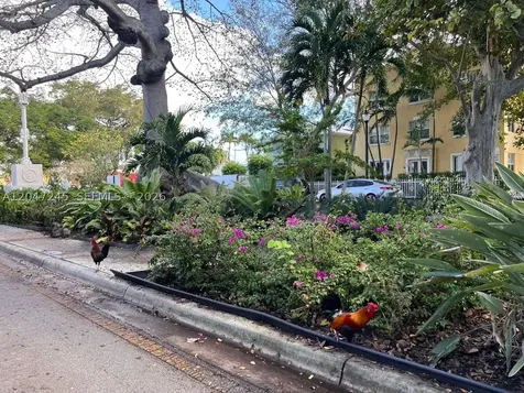 852 SW 13th Avenue Miami FL 33135