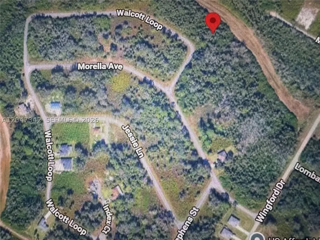 1991 Walcott Loop Lehigh Acres FL 33972