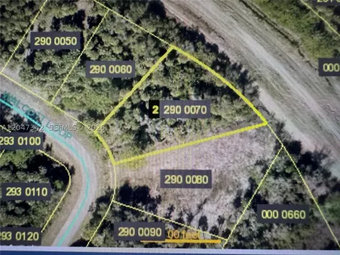 1991 Walcott Loop Lehigh Acres FL 33972