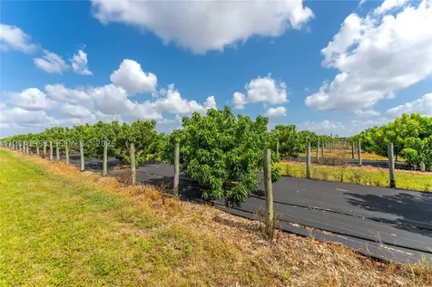 320XX SW 217 Avenue Homestead FL 33030