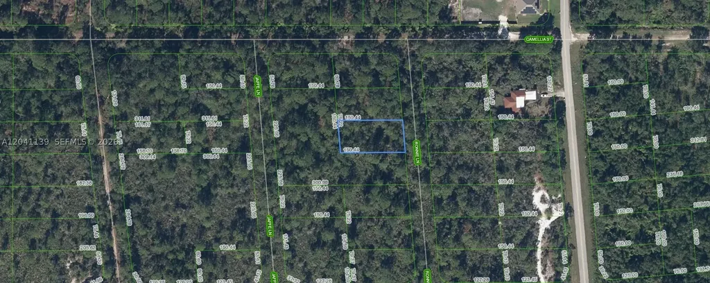 722 Ronnie Lane Lake Placid FL 33852
