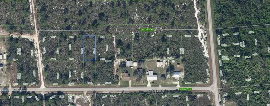 1507 Columbine Street Lake Placid FL 33852