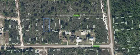 1507 Columbine Street Lake Placid FL 33852