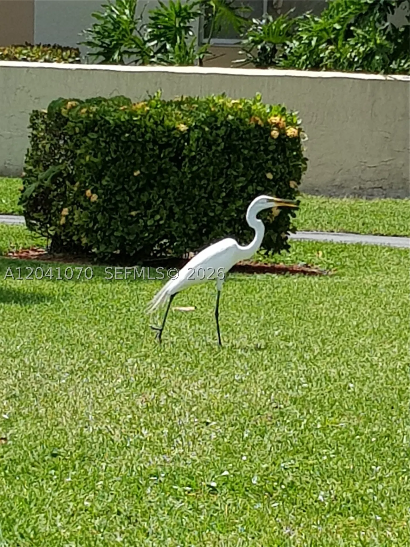 703 Gardens Drive Pompano Beach FL 33069