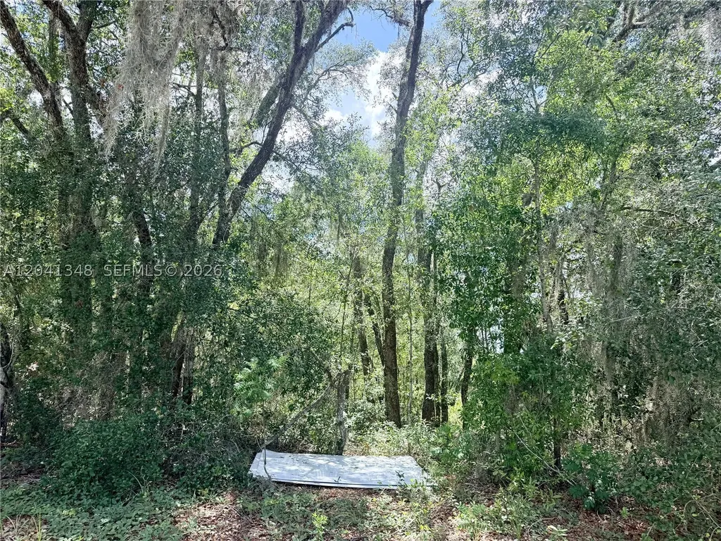 7932 N Elkcam Boulevard Citrus Springs FL 34433