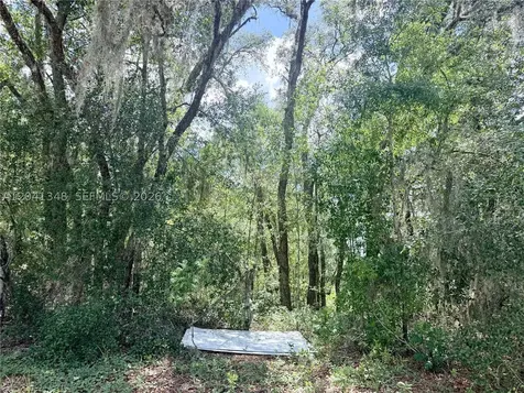 7932 N Elkcam Boulevard Citrus Springs FL 34433