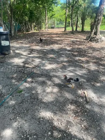 23625 SW 125 Avenue Homestead FL 33032