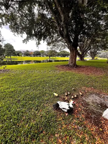 9235 Lagoon Place Davie FL 33324
