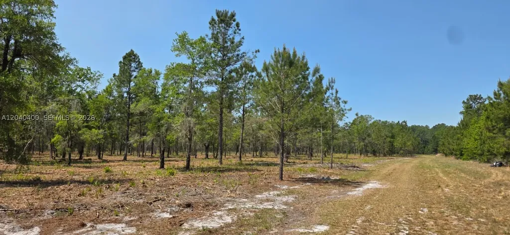 Xx SE 225th Drive Other City - In The State Of Florida FL 32640