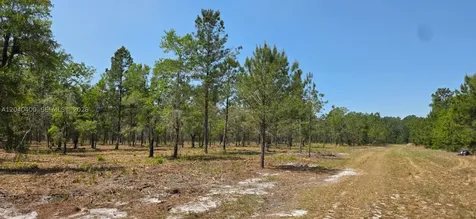 Xx SE 225th Drive Other City - In The State Of Florida FL 32640