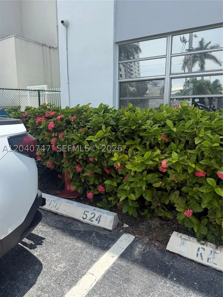 Hollywood FL 33019