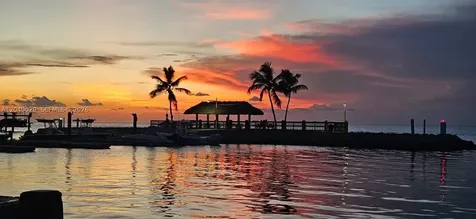 65821 Overseas Hwy # 295 Long Key FL 33001