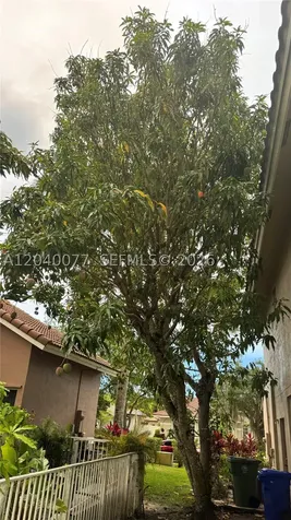 17471 SW 12th Street Pembroke Pines FL 33029