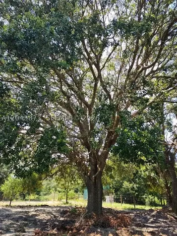 18611 NW 304 Street Okeechobee FL 34972