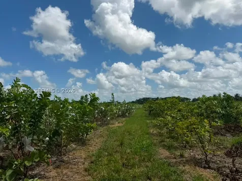 15805 SW 205 Avenue Miami FL 33187